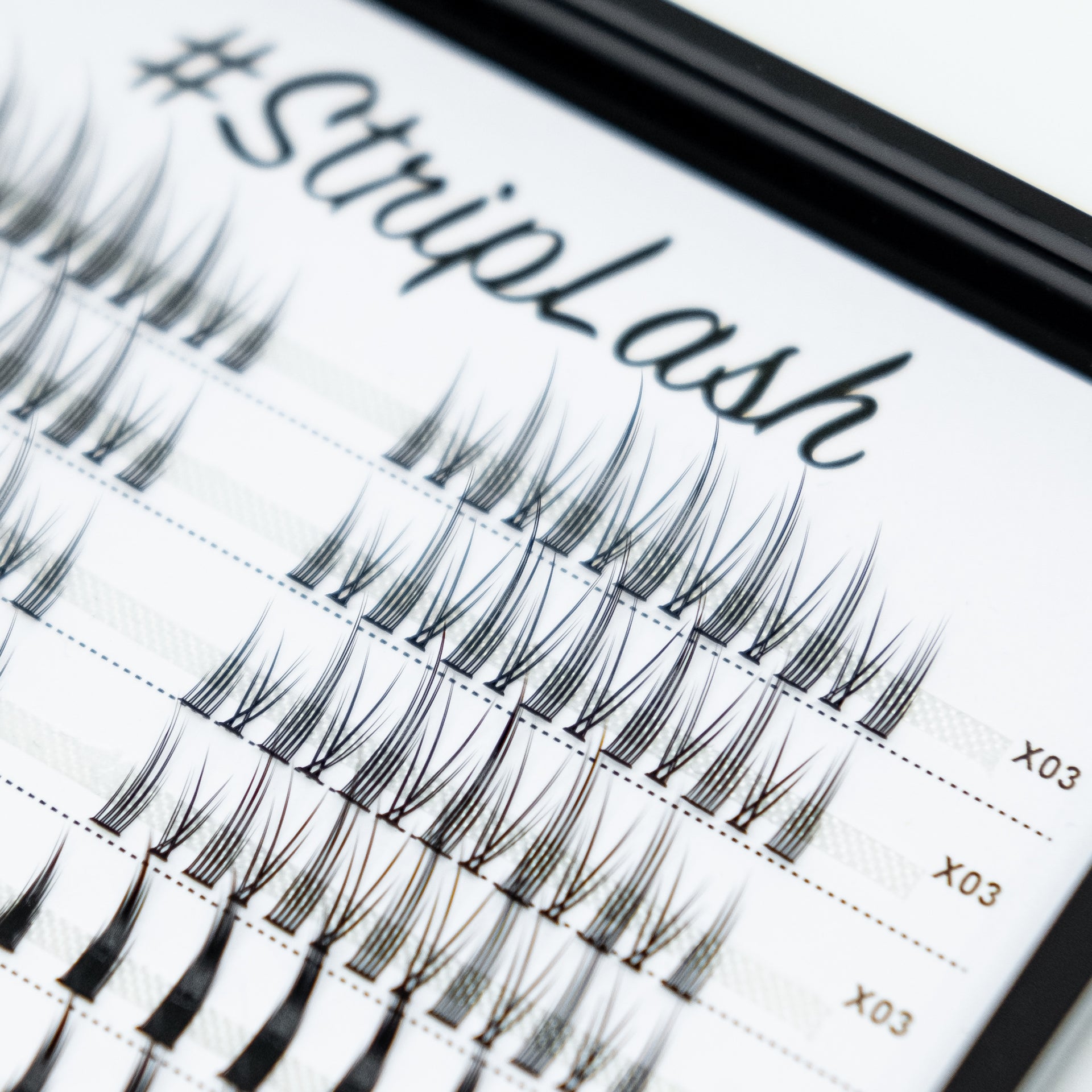 Fake Lashes Bulk Tray Fashion Top  #Striplash